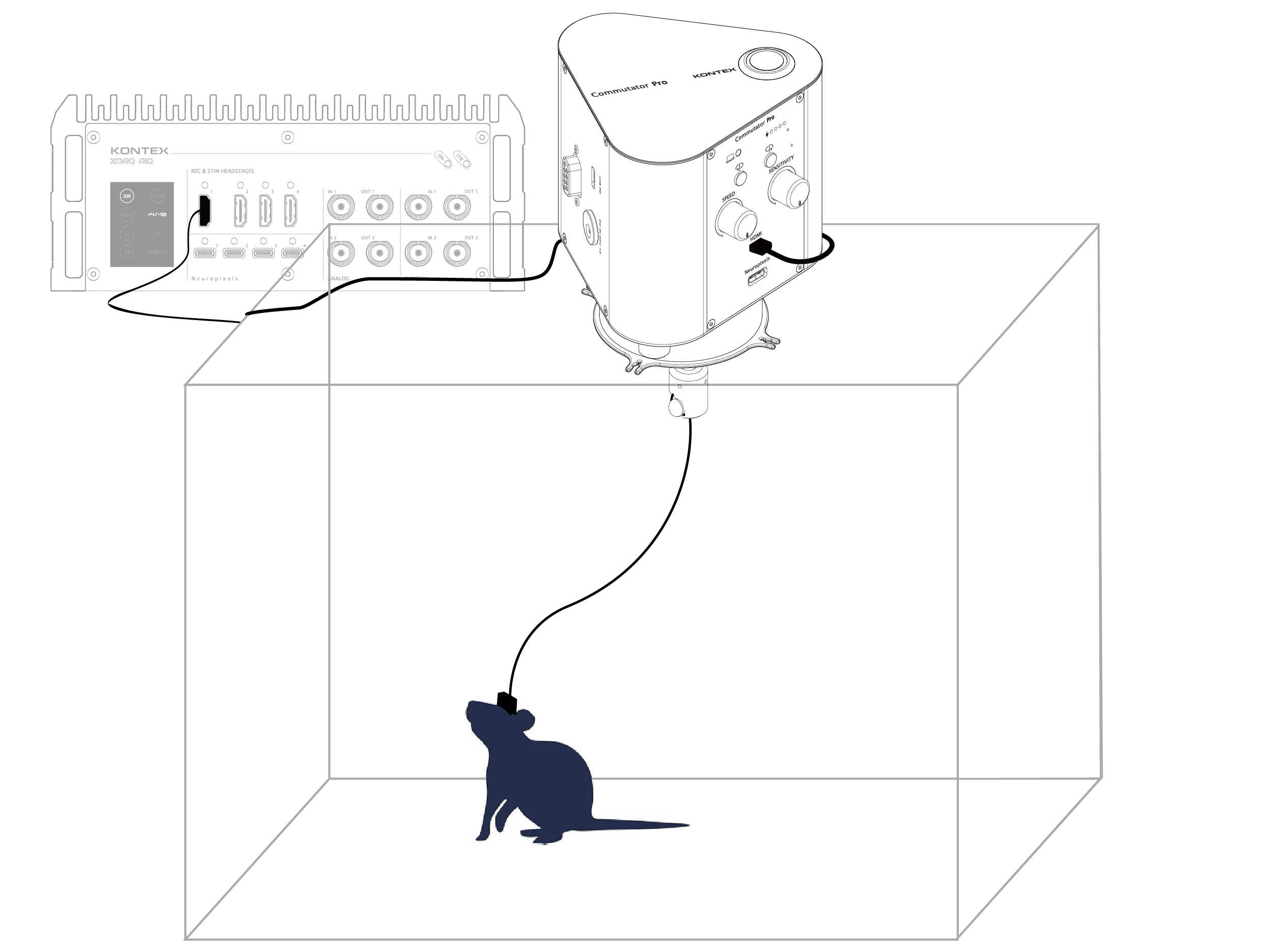 Mouse Setup